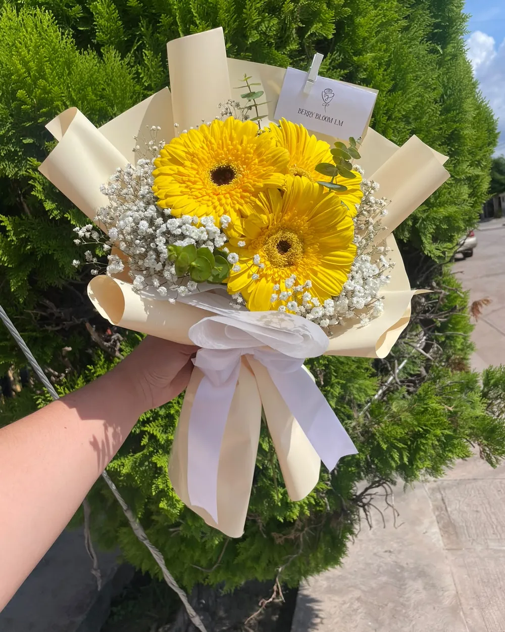Ramo 3 gerberas: 3 gerberas + gipsophilia + dólar