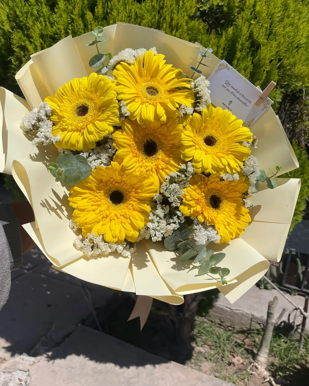 Ramo de seis gerberas amarillas con estatis blanco