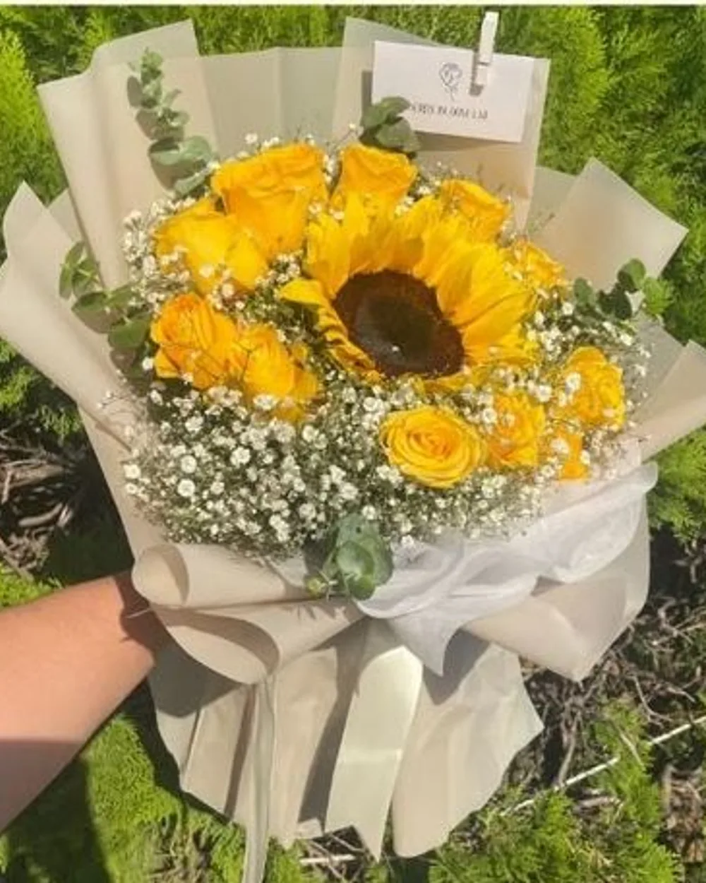 Ramo 4: Girasol + 12 rosas + gipsophilia + dólar