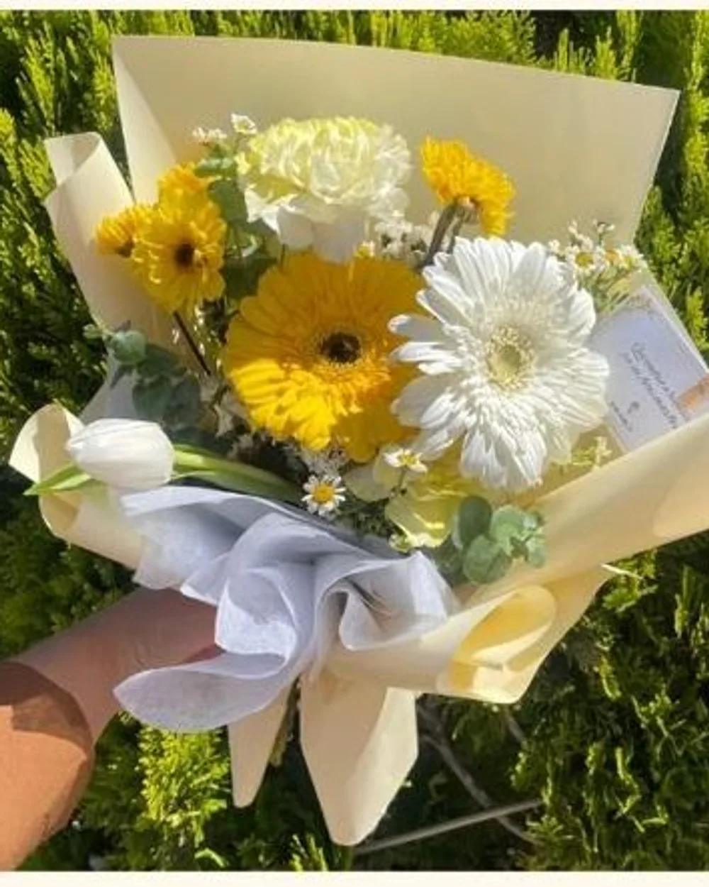 Ramo 2: 1 tulipán blanco + gerbera amarilla + gerbera blanca + Santa María + dólar + vikingo + claveles + estatis