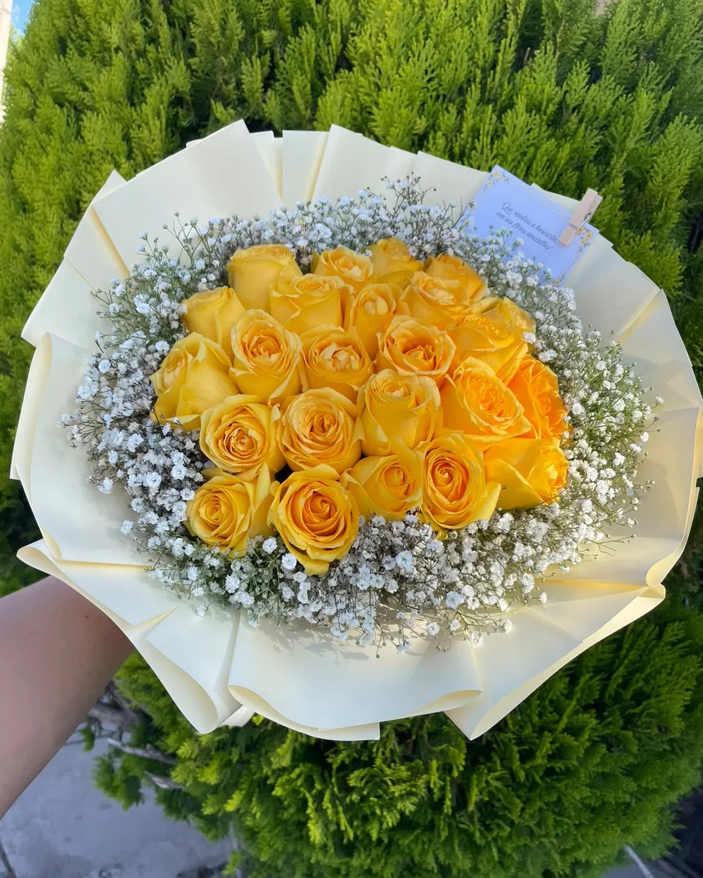 Ramo de rosas, medidas grandes: Sólo rosas, o con gipsophilia