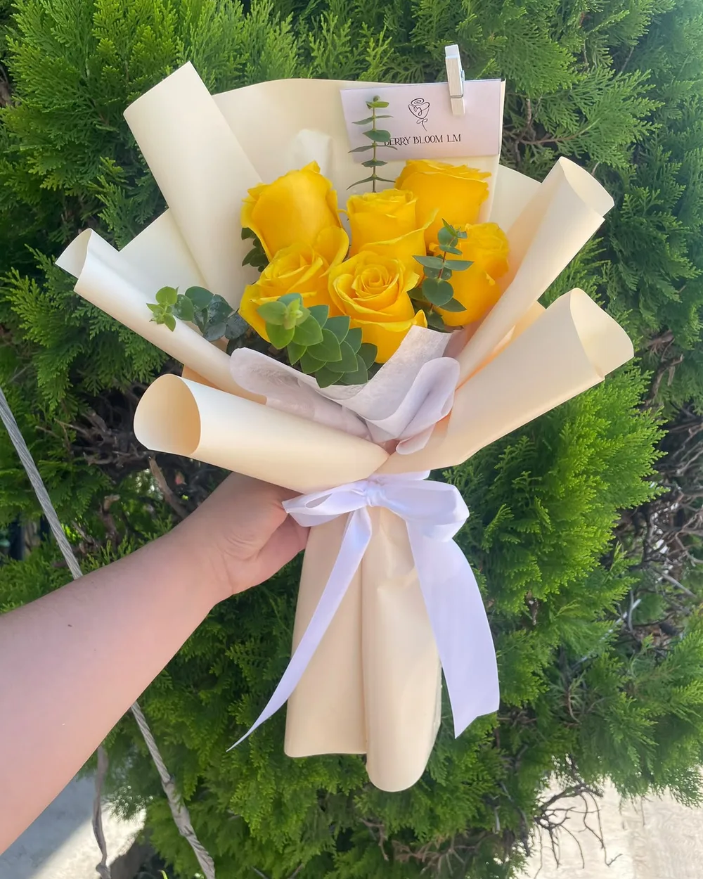 Ramo de rosas: Rosas amarillas + dólar